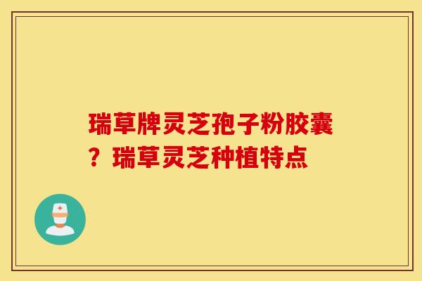 瑞草牌灵芝孢子粉胶囊？瑞草灵芝种植特点
