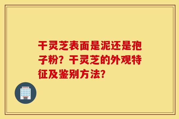 干灵芝表面是泥还是孢子粉？干灵芝的外观特征及鉴别方法？