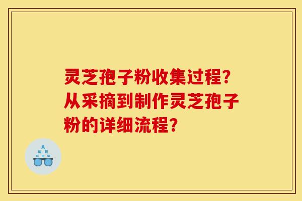 灵芝孢子粉收集过程？从采摘到制作灵芝孢子粉的详细流程？
