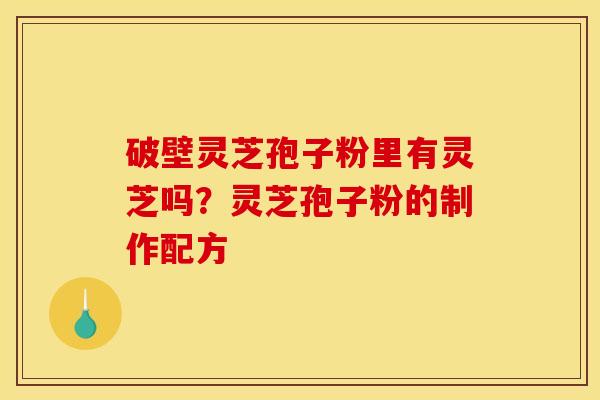 破壁灵芝孢子粉里有灵芝吗？灵芝孢子粉的制作配方