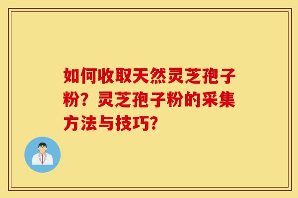 如何收取天然灵芝孢子粉？灵芝孢子粉的采集方法与技巧？