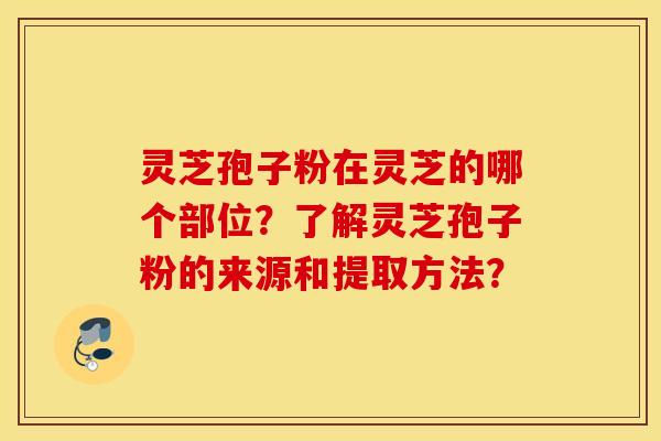灵芝孢子粉在灵芝的哪个部位？了解灵芝孢子粉的来源和提取方法？