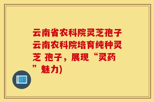 云南省农科院灵芝孢子云南农科院培育纯种灵芝 孢子，展现“灵药”魅力)