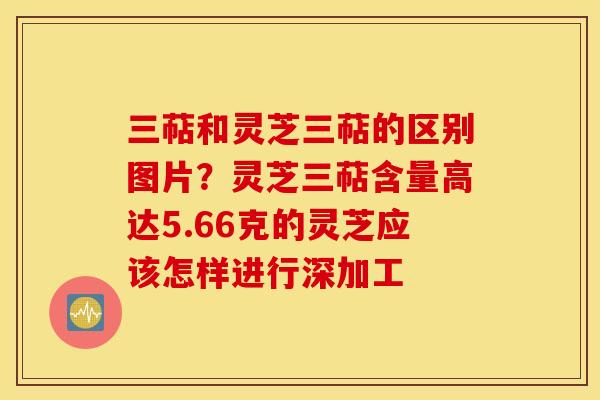 三萜和灵芝三萜的区别图片？灵芝三萜含量高达5.66克的灵芝应该怎样进行深加工