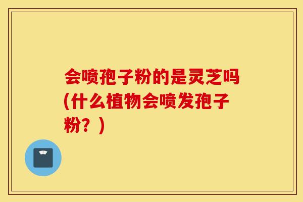 会喷孢子粉的是灵芝吗(什么植物会喷发孢子粉？)