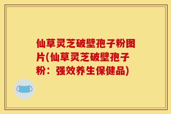 仙草灵芝破壁孢子粉图片(仙草灵芝破壁孢子粉：强效养生保健品)