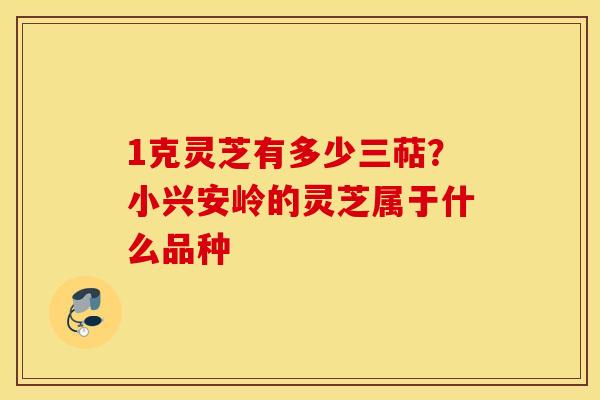1克灵芝有多少三萜？小兴安岭的灵芝属于什么品种