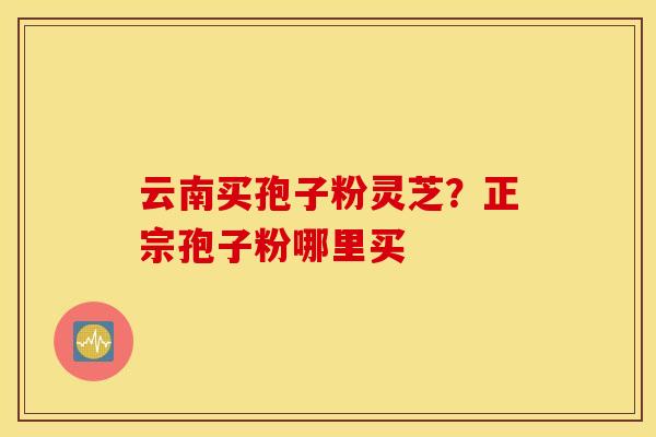 云南买孢子粉灵芝？正宗孢子粉哪里买