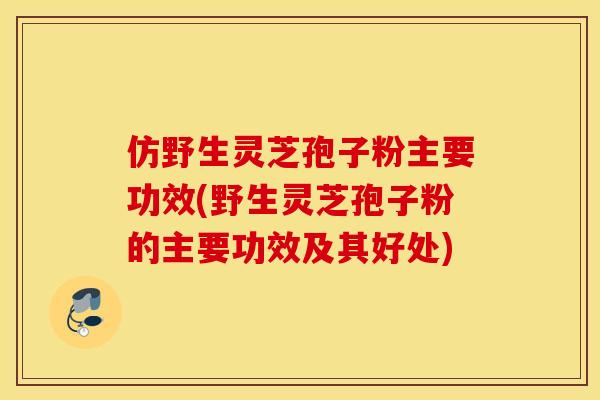 仿野生灵芝孢子粉主要功效(野生灵芝孢子粉的主要功效及其好处)
