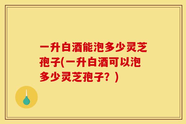 一升白酒能泡多少灵芝孢子(一升白酒可以泡多少灵芝孢子？)