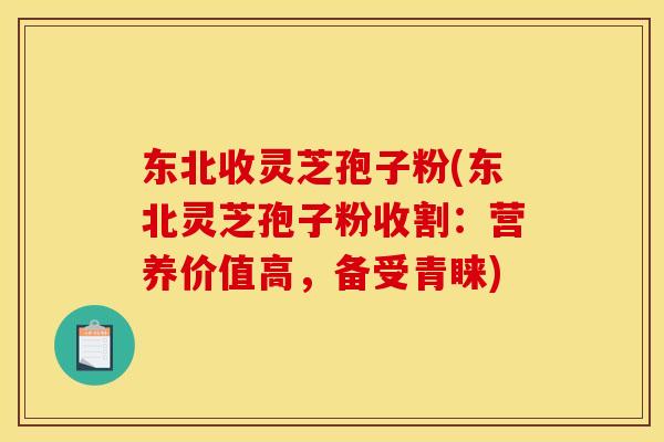 东北收灵芝孢子粉(东北灵芝孢子粉收割：营养价值高，备受青睐)