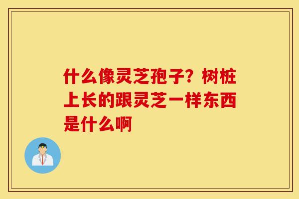 什么像灵芝孢子？树桩上长的跟灵芝一样东西是什么啊