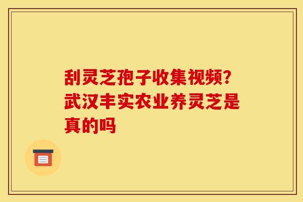 刮灵芝孢子收集视频？武汉丰实农业养灵芝是真的吗