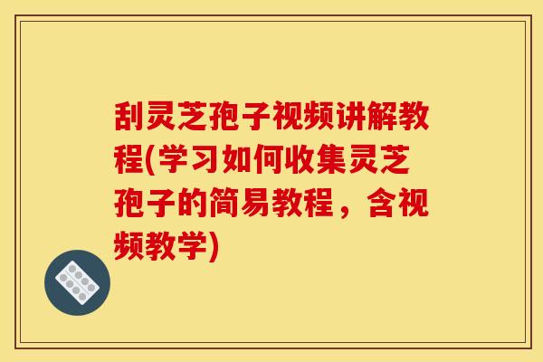 刮灵芝孢子视频讲解教程(学习如何收集灵芝孢子的简易教程，含视频教学)