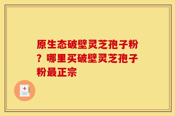 原生态破壁灵芝孢子粉？哪里买破壁灵芝孢子粉正宗