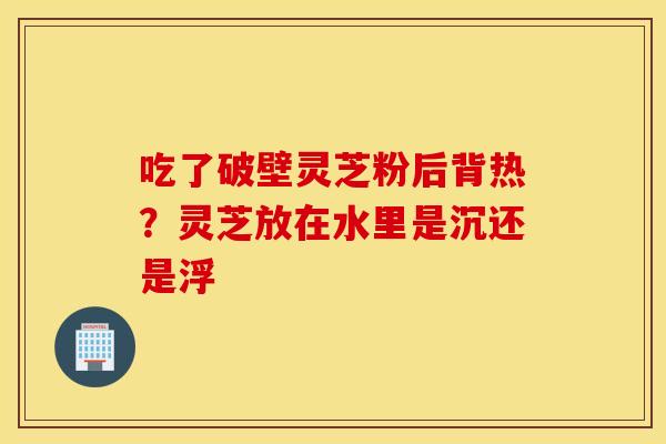 吃了破壁灵芝粉后背热？灵芝放在水里是沉还是浮