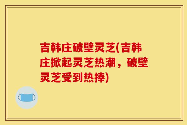 吉韩庄破壁灵芝(吉韩庄掀起灵芝热潮，破壁灵芝受到热捧)