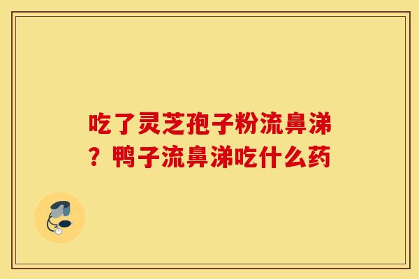 吃了灵芝孢子粉流鼻涕？鸭子流鼻涕吃什么药