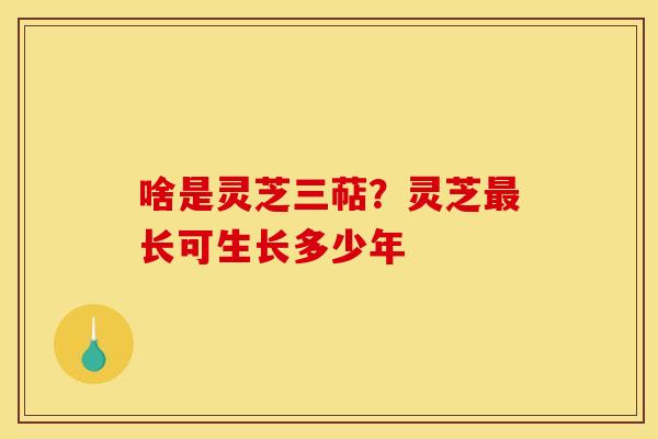啥是灵芝三萜？灵芝最长可生长多少年