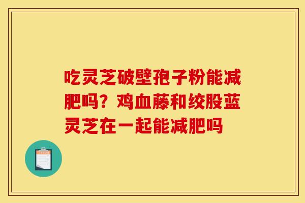 吃灵芝破壁孢子粉能减肥吗？鸡血藤和绞股蓝灵芝在一起能减肥吗