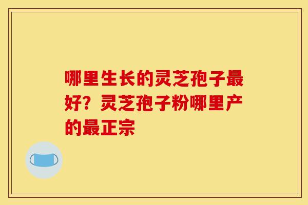 哪里生长的灵芝孢子最好？灵芝孢子粉哪里产的最正宗