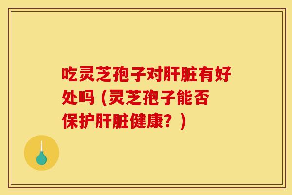 吃灵芝孢子对肝脏有好处吗 (灵芝孢子能否保护肝脏健康？)