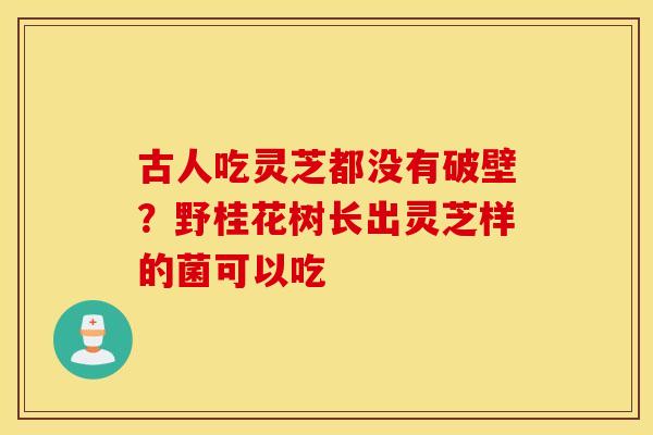 古人吃灵芝都没有破壁？野桂花树长出灵芝样的菌可以吃
