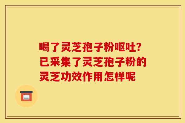 喝了灵芝孢子粉呕吐？已采集了灵芝孢子粉的灵芝功效作用怎样呢