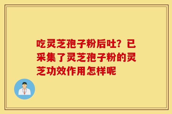吃灵芝孢子粉后吐？已采集了灵芝孢子粉的灵芝功效作用怎样呢
