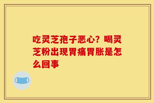 吃灵芝孢子恶心？喝灵芝粉出现胃痛胃胀是怎么回事