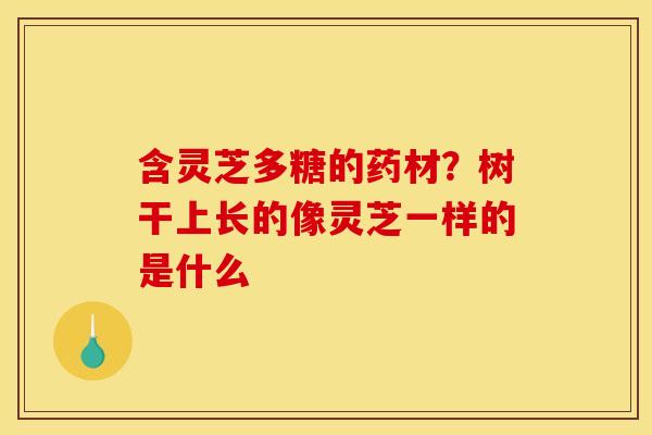 含灵芝多糖的药材？树干上长的像灵芝一样的是什么
