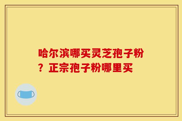 哈尔滨哪买灵芝孢子粉？正宗孢子粉哪里买