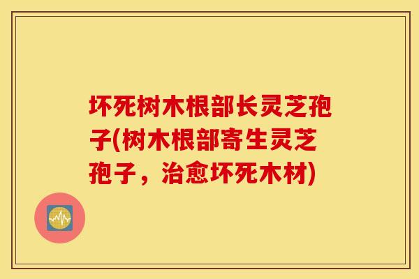坏死树木根部长灵芝孢子(树木根部寄生灵芝孢子，治愈坏死木材)