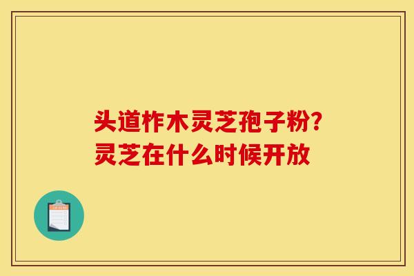 头道柞木灵芝孢子粉？灵芝在什么时候开放