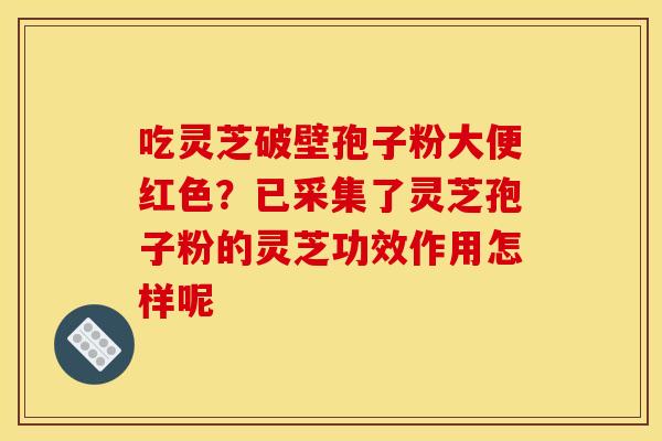 吃灵芝破壁孢子粉大便红色？已采集了灵芝孢子粉的灵芝功效作用怎样呢