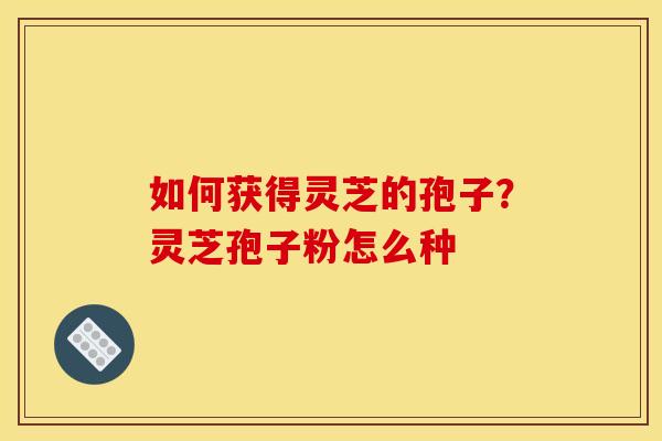 如何获得灵芝的孢子？灵芝孢子粉怎么种