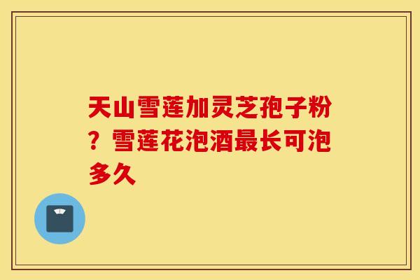 天山雪莲加灵芝孢子粉？雪莲花泡酒最长可泡多久