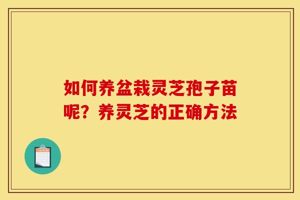 如何养盆栽灵芝孢子苗呢？养灵芝的正确方法