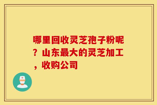 哪里回收灵芝孢子粉呢？山东最大的灵芝加工，收购公司