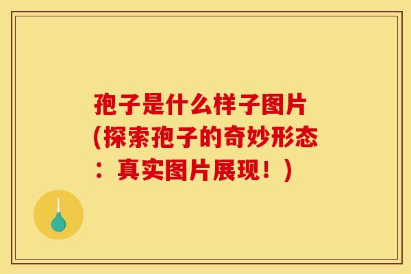 孢子是什么样子图片 (探索孢子的奇妙形态：真实图片展现！)