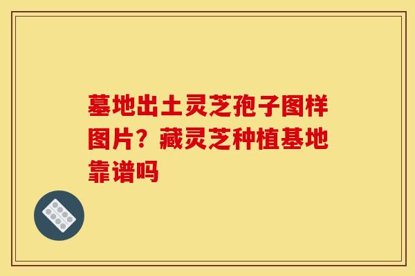 墓地出土灵芝孢子图样图片？藏灵芝种植基地靠谱吗