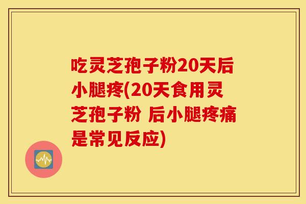 吃灵芝孢子粉20天后小腿疼(20天食用灵芝孢子粉 后小腿疼痛是常见反应)