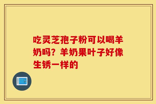 吃灵芝孢子粉可以喝羊奶吗？羊奶果叶子好像生锈一样的
