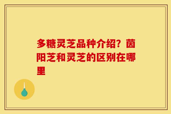 多糖灵芝品种介绍？茵阳芝和灵芝的区别在哪里