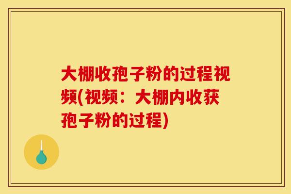 大棚收孢子粉的过程视频(视频:大棚内收获孢子粉的过程) 大棚收孢子粉的过程视频(视频:大棚内收获孢子粉的过程)