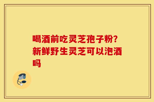 喝酒前吃灵芝孢子粉？新鲜野生灵芝可以泡酒吗