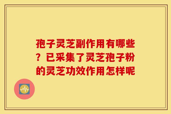 孢子灵芝副作用有哪些?已采集了灵芝孢子粉的灵芝功效作用怎样呢 孢子灵芝副作用有哪些?已采集了灵芝孢子粉的灵芝功效作用怎样呢