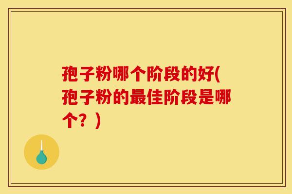 孢子粉哪个阶段的好(孢子粉的最佳阶段是哪个？)