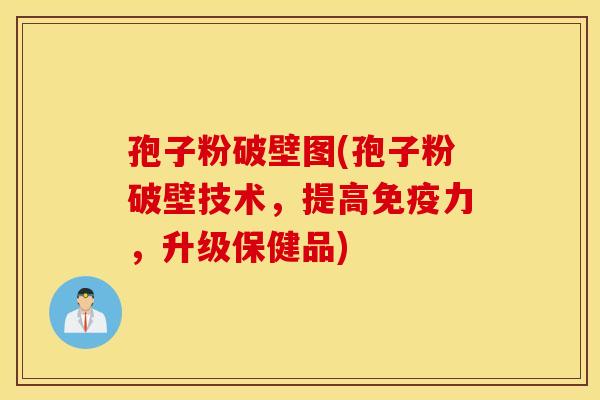 孢子粉破壁图(孢子粉破壁技术,提高免疫力,升级保健品) 孢子粉破壁图(孢子粉破壁技术,提高免疫力,升级保健品)