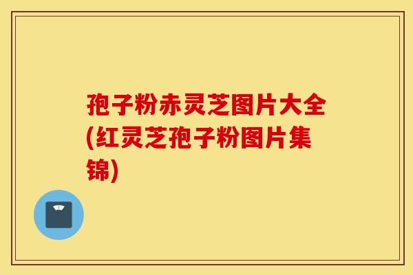 孢子粉赤灵芝图片大全(红灵芝孢子粉图片集锦)